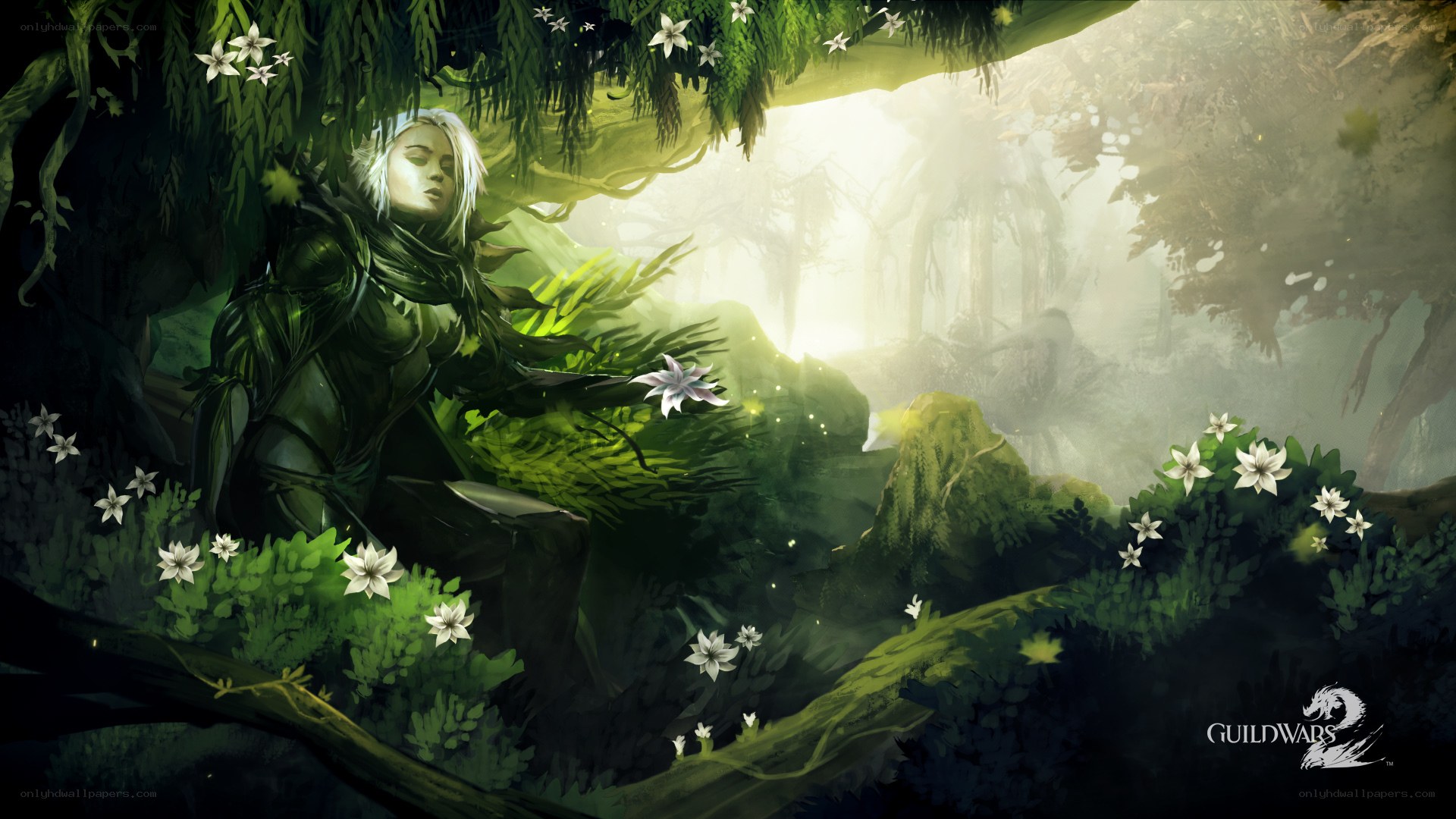 elf in a forest glade