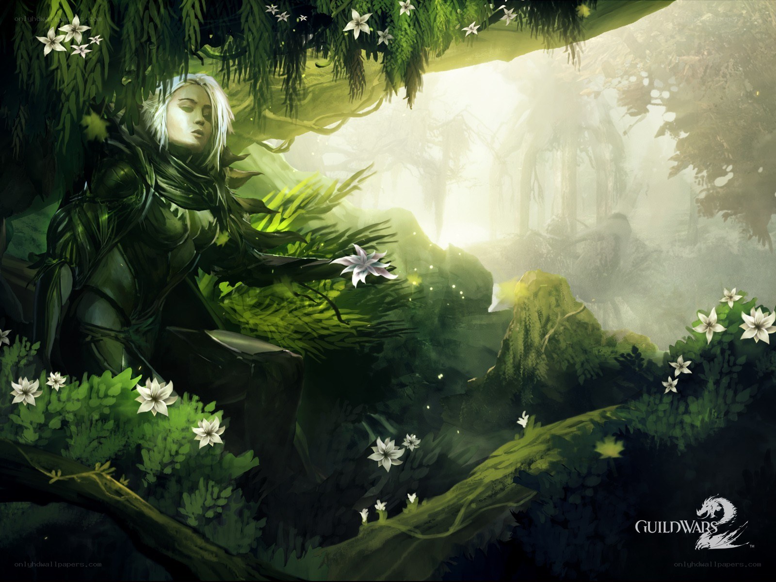 elf in a forest glade