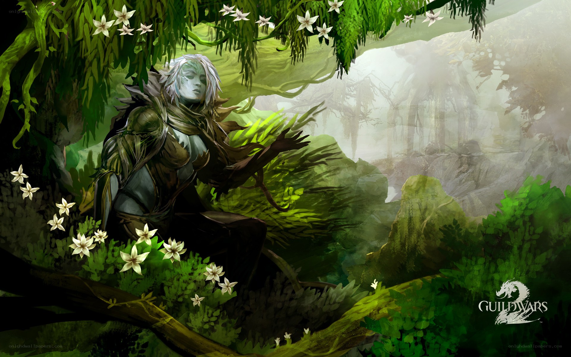 elf in a lush forest