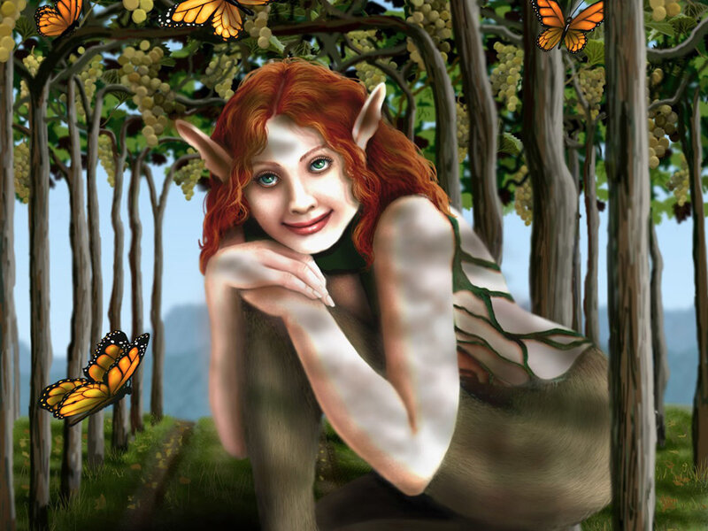 elf in a vineyard