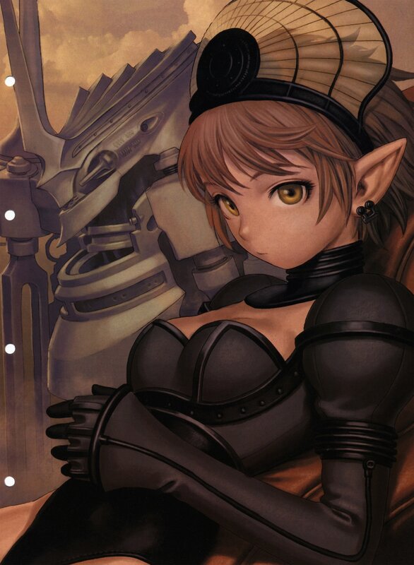 elf in black armor