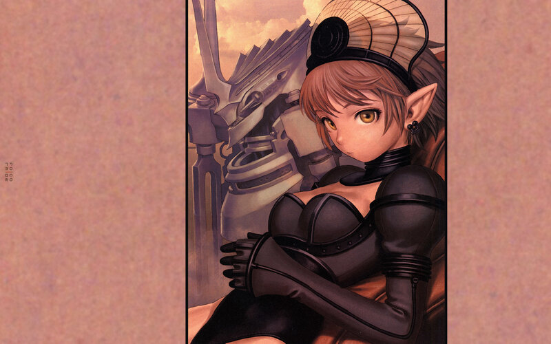 elf in black armor