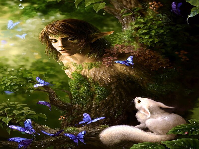 Elf in Forest