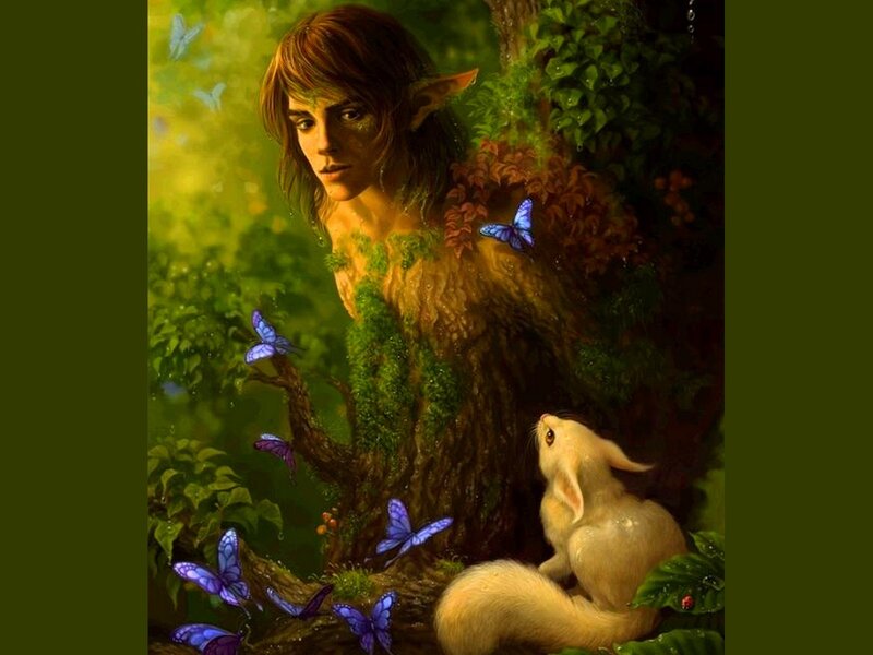 elf in forest with butterflies