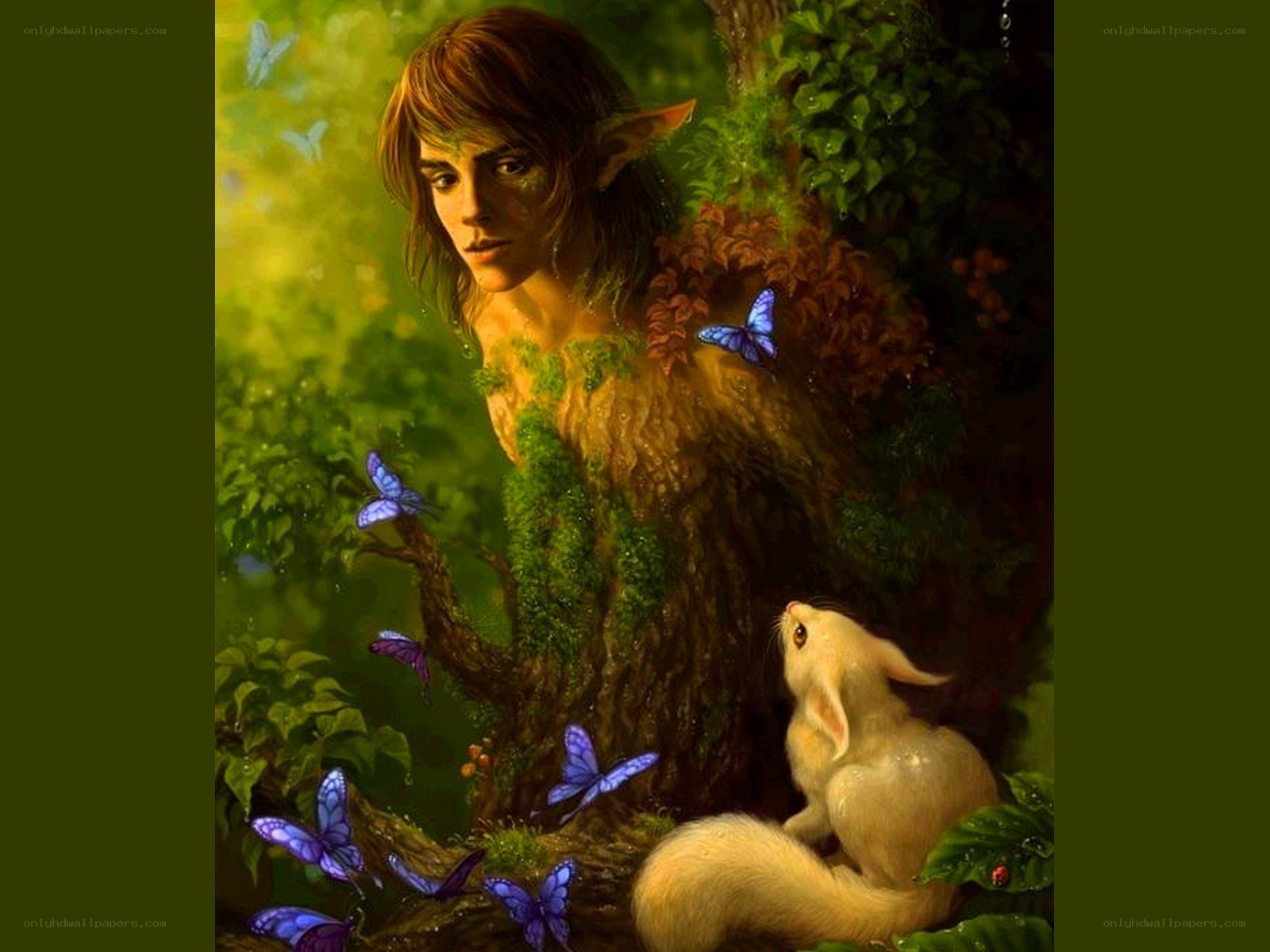 elf in forest with butterflies