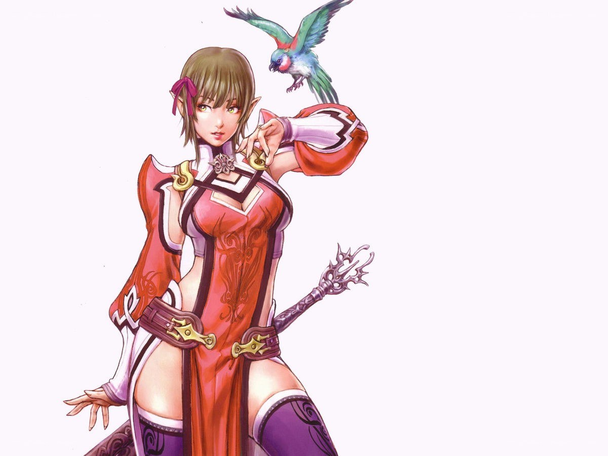 elf mage with bird companion