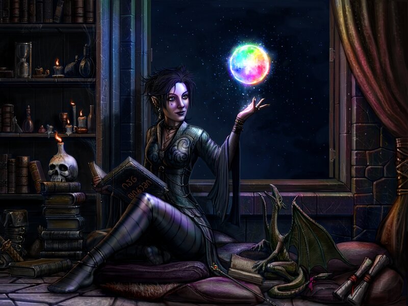 Elf Mage with Dragon
