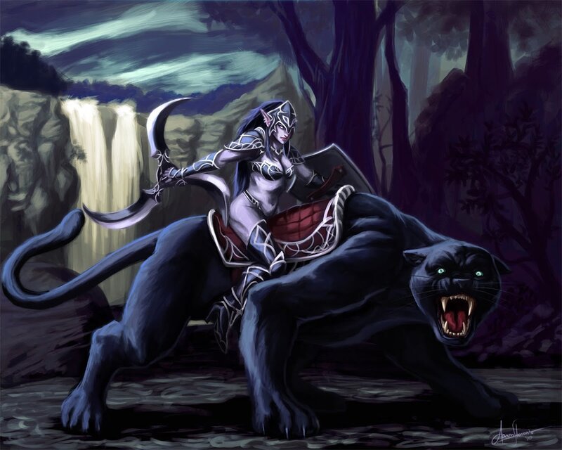 Elf Rider on Black Panther