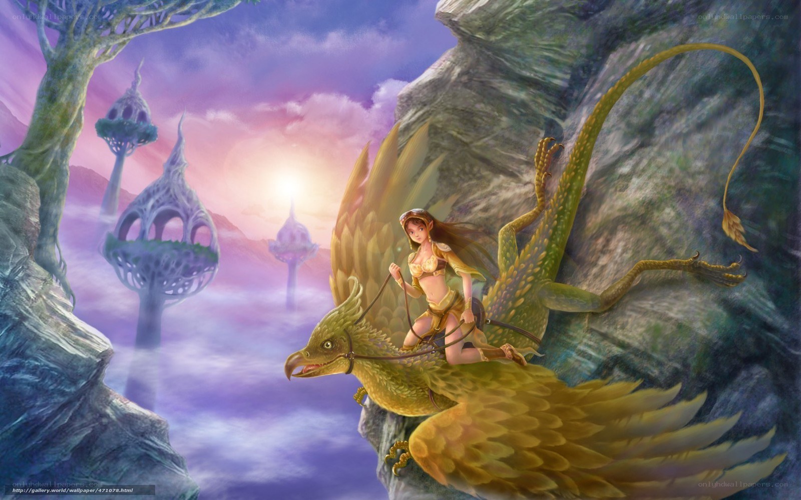 elf rider on golden griffin