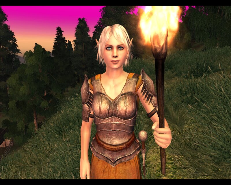 Elf Warrior Holding Torch