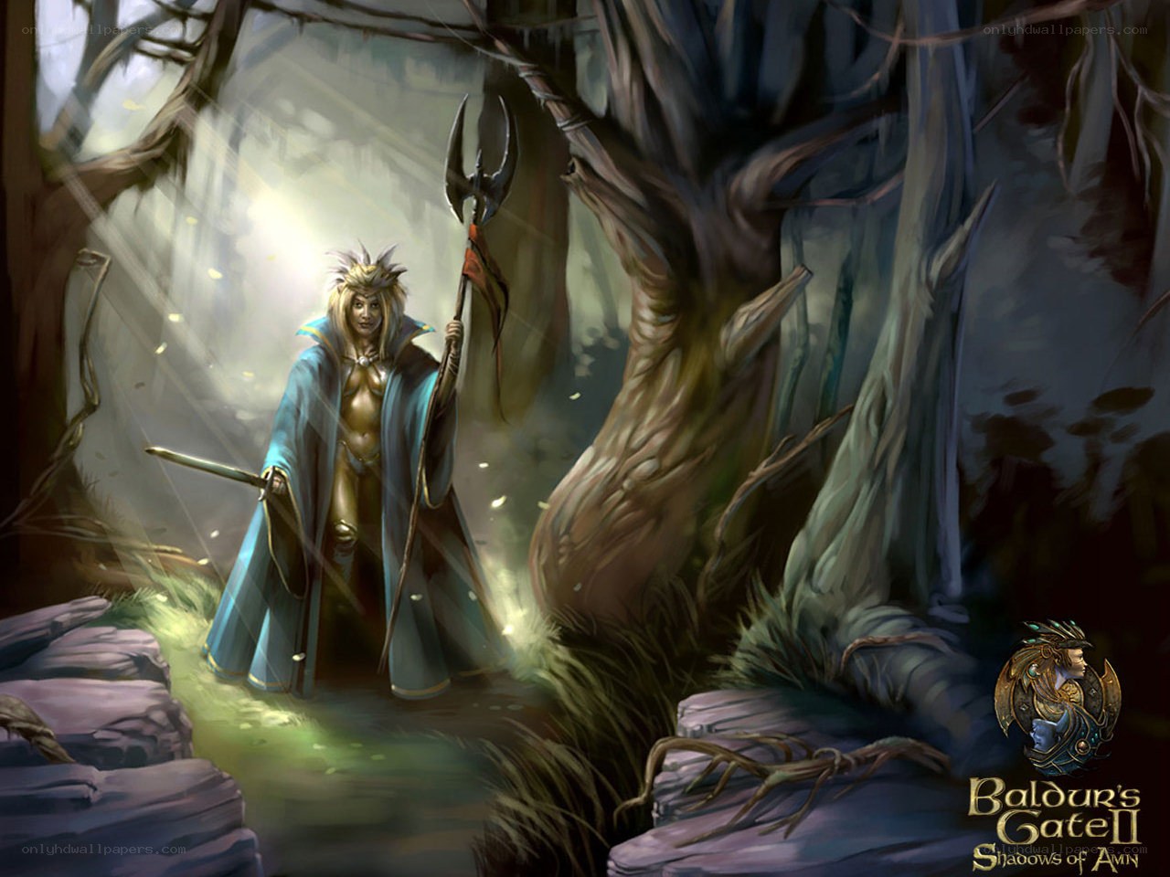 elf warrior in a dark forest