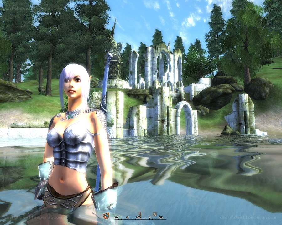elf warrior in ancient ruins