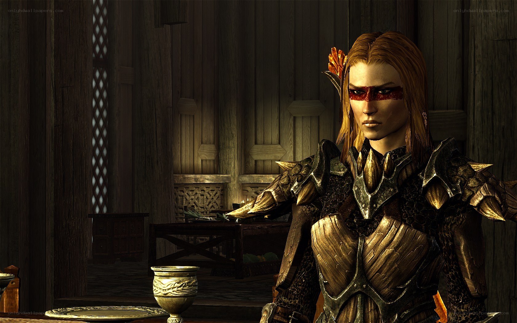 elf warrior in armor