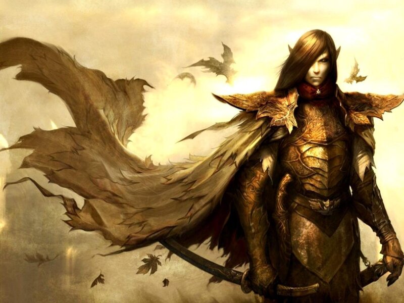 Elf Warrior in Armor — Brown, Dramatic, Autumn