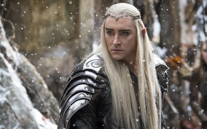 Elf Warrior in Armor — Silver, Dramatic