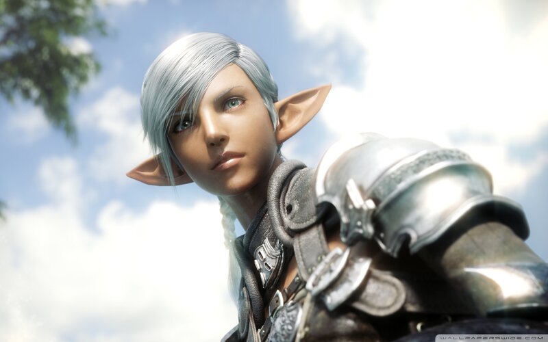 Elf Warrior in Armor — Silver, Serene
