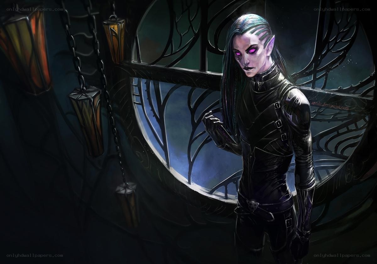elf warrior in dark armor