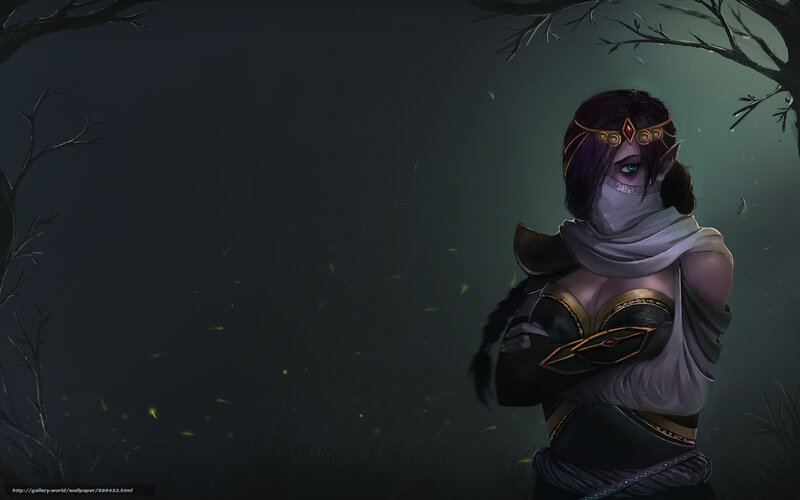 elf warrior in dark forest