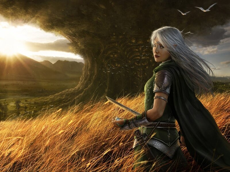 Elf Warrior in Field — Green, Dramatic, Sunset, Digital Art, Sword, Tree, Birds