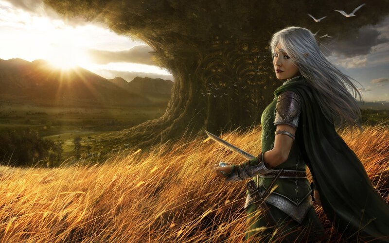 Elf Warrior in Field — Green, Dramatic, Sunset, Digital Art