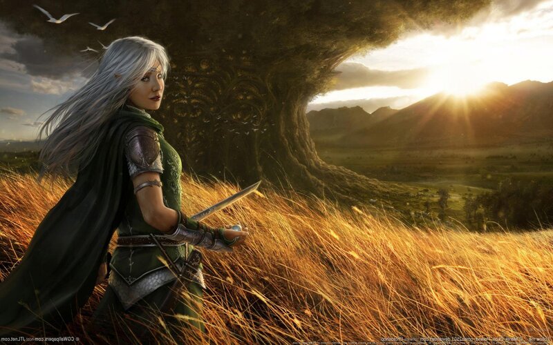 Elf Warrior in Field — Green, Dramatic, Sunset