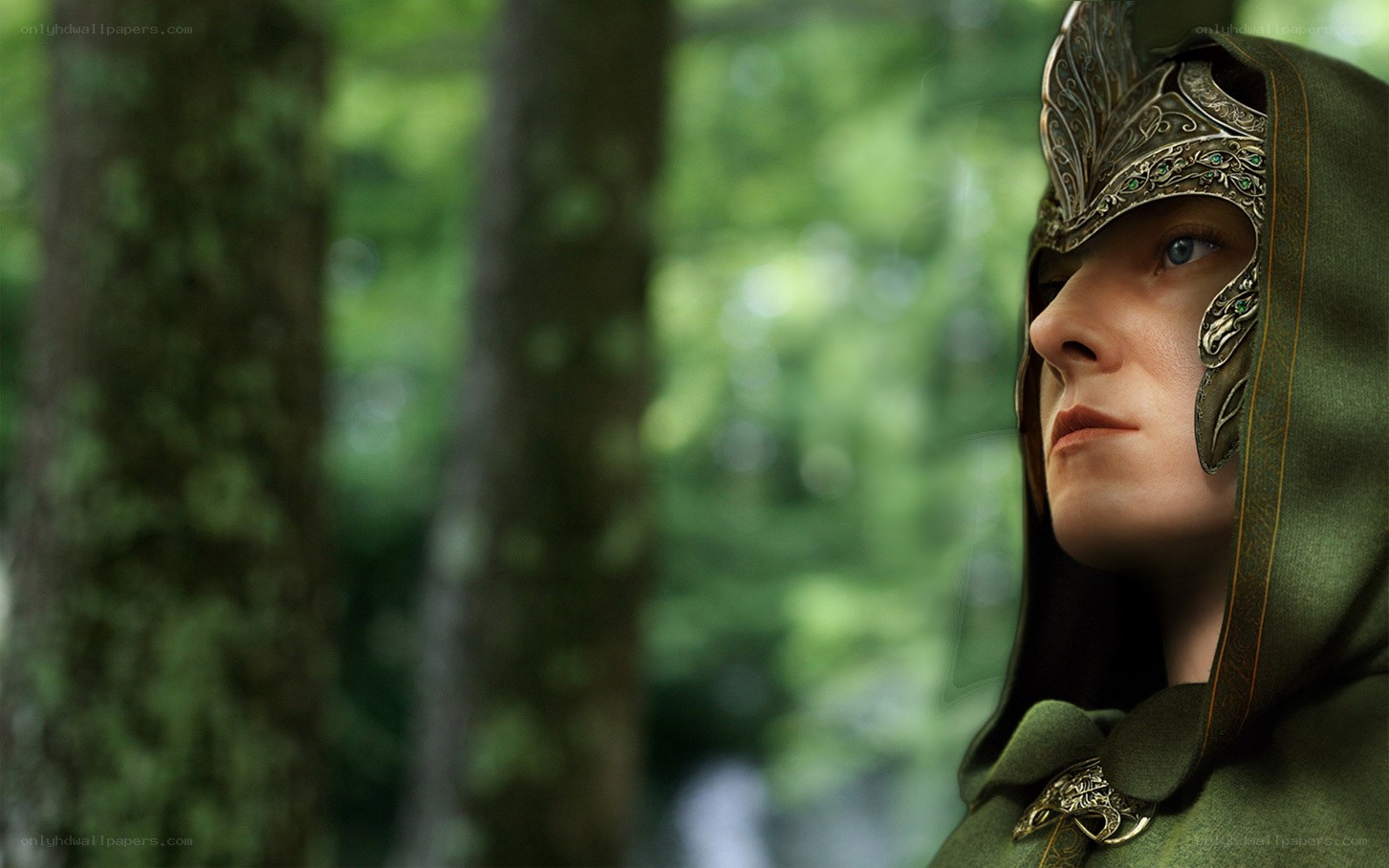 elf warrior in forest