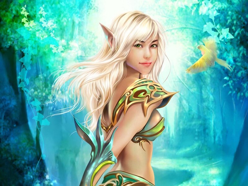 elf warrior in forest