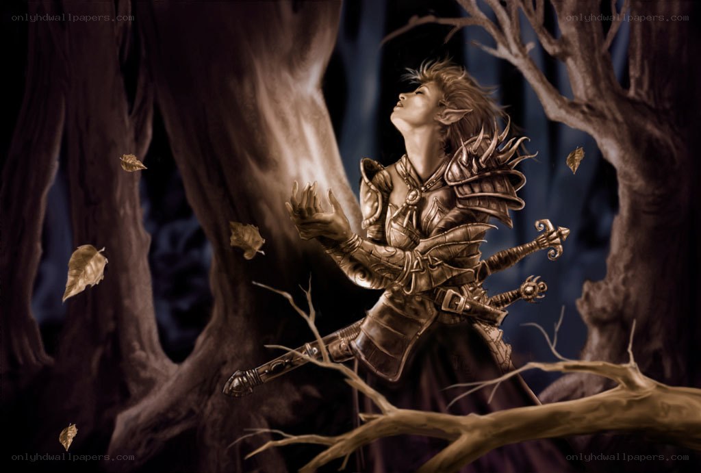 elf warrior in forest