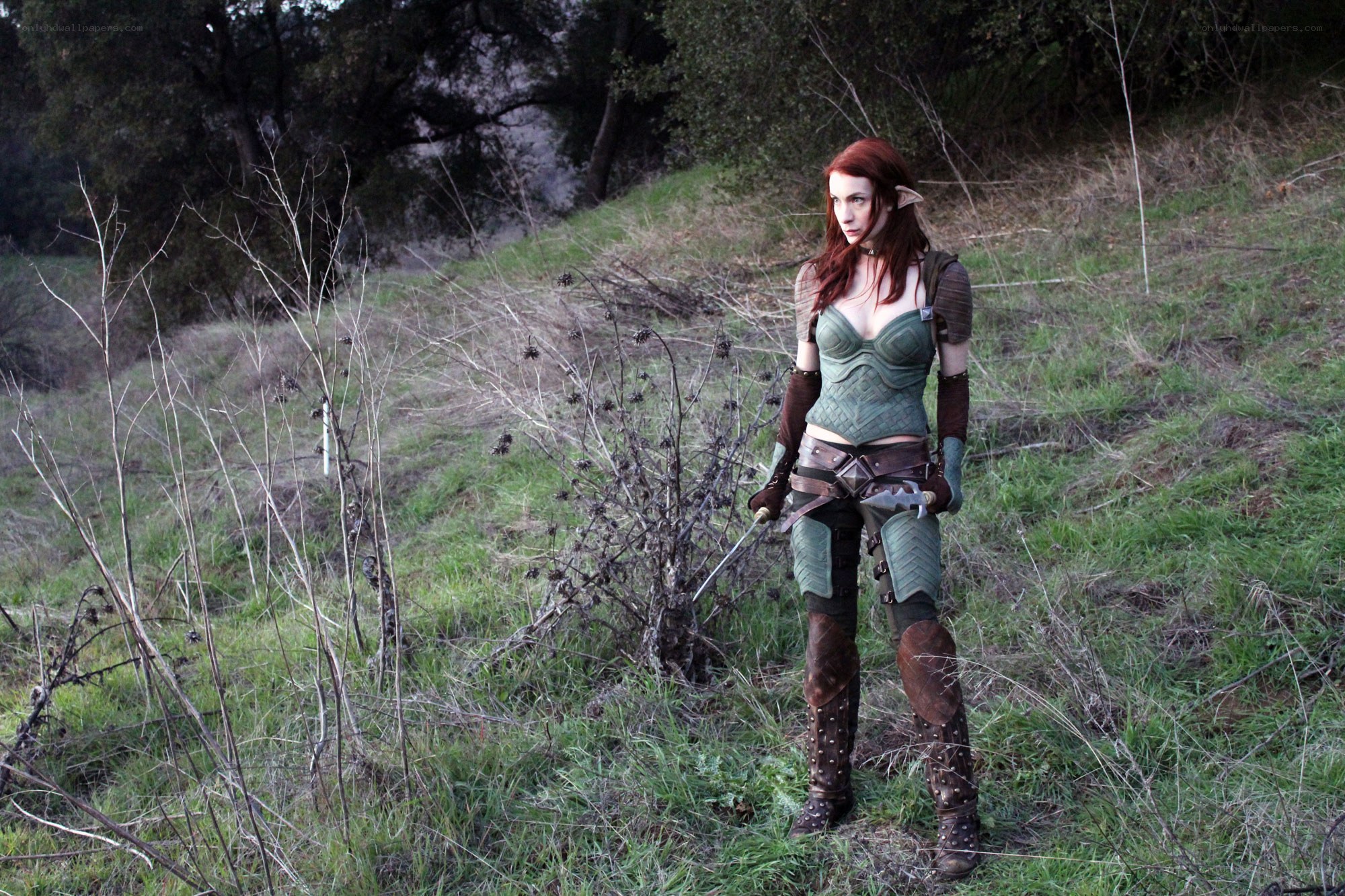elf warrior in forest