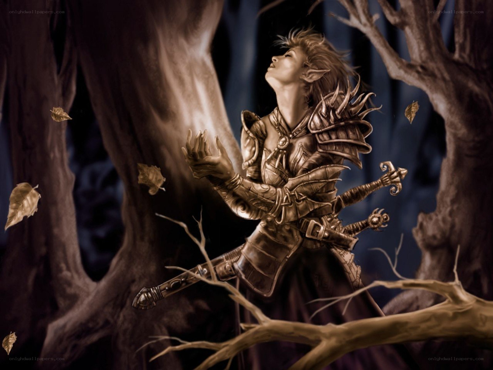 elf warrior in forest