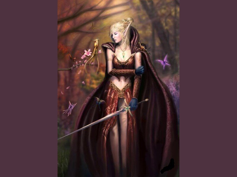 elf warrior in forest