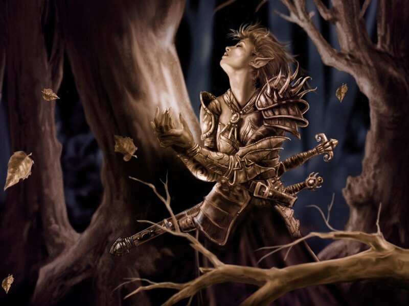 Elf Warrior in Forest — Brown, Dramatic, Night