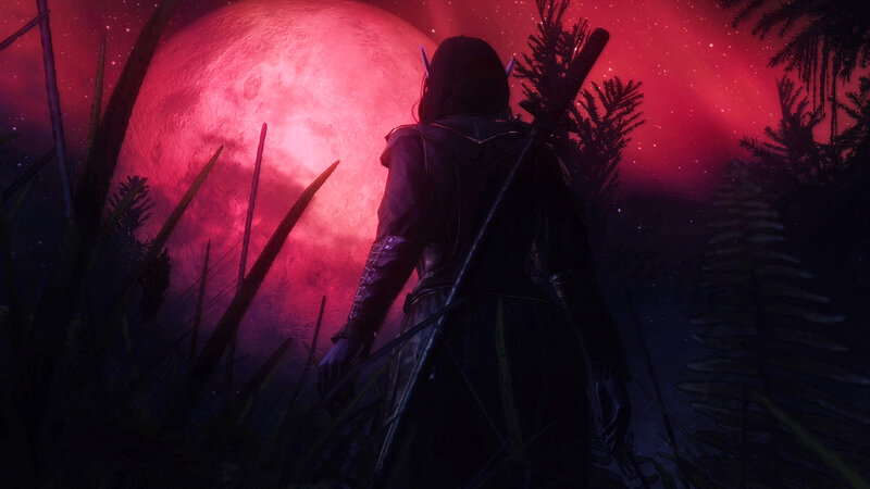Elf Warrior in Forest — Red