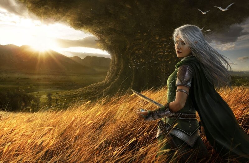 elf warrior in golden field