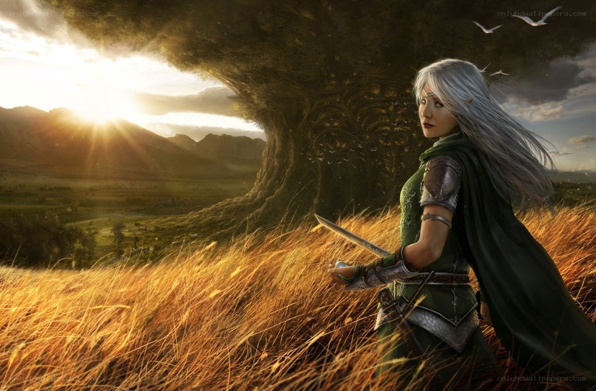 elf warrior in golden field