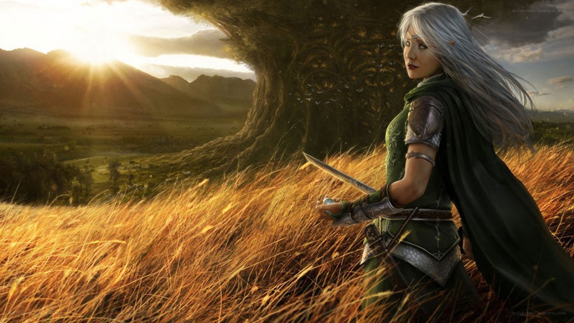 elf warrior in golden field