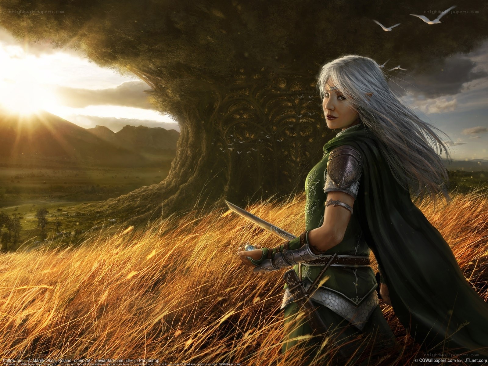elf warrior in golden field