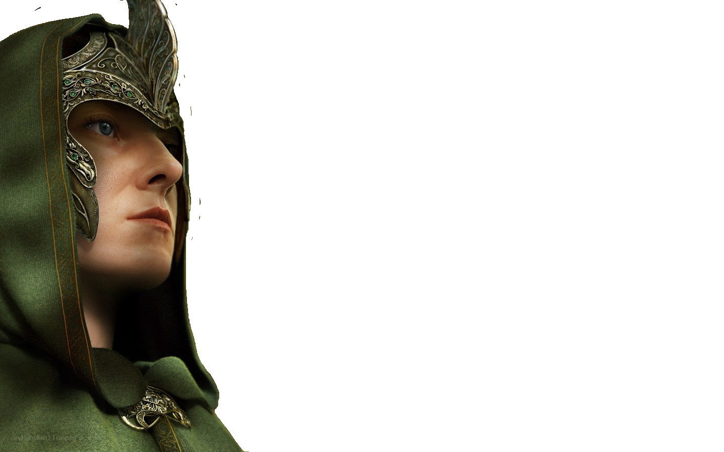 elf warrior in green cloak