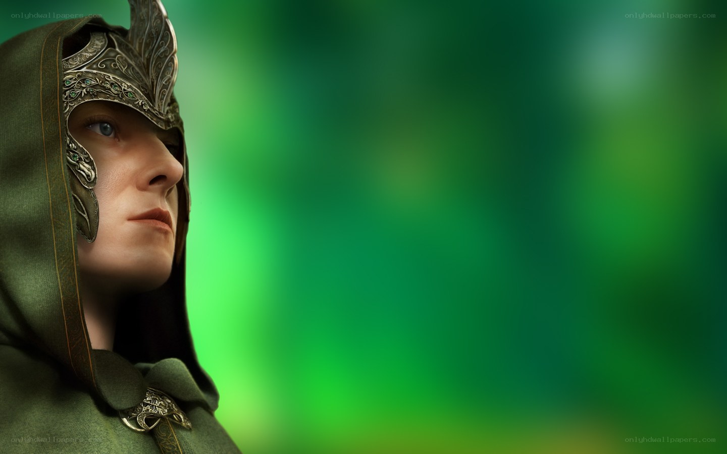 elf warrior in green cloak
