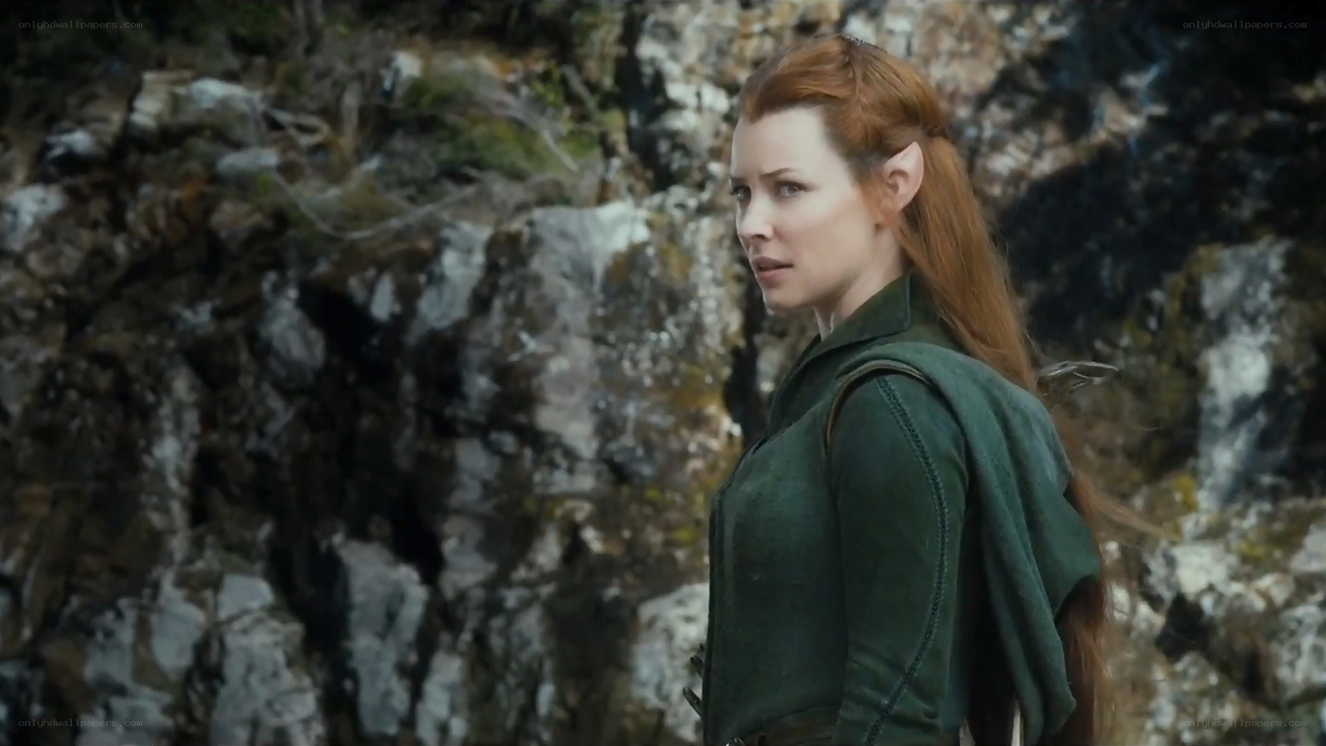 elf warrior in green cloak