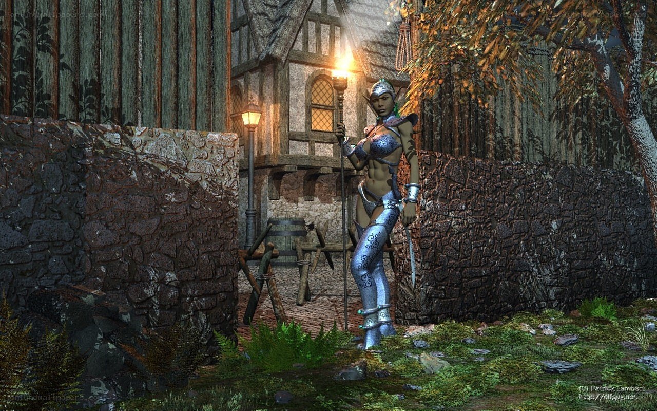 elf warrior in medieval village