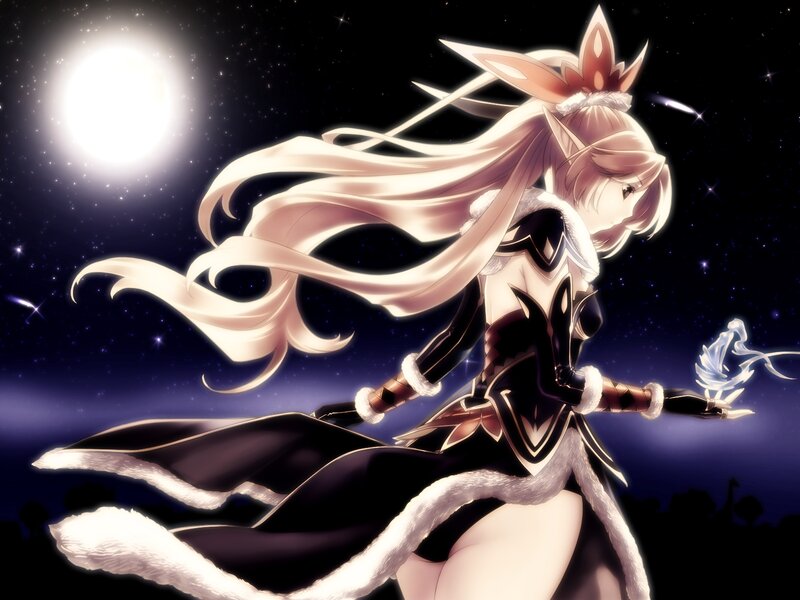 elf warrior in moonlight