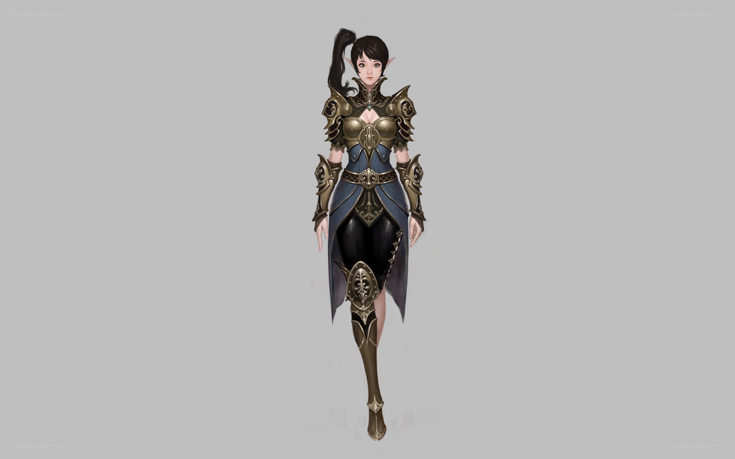 elf warrior in ornate armor
