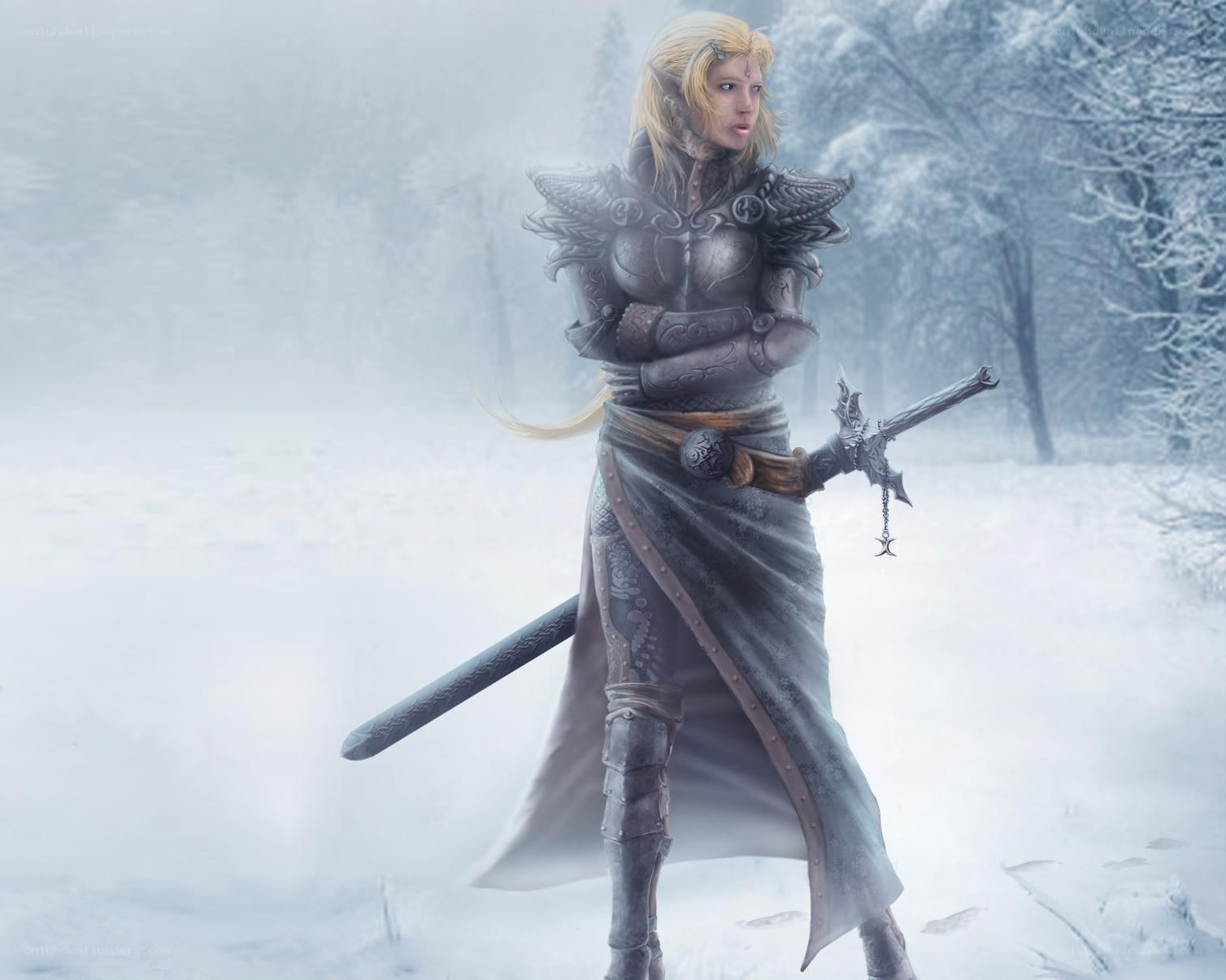 elf warrior in snowy forest