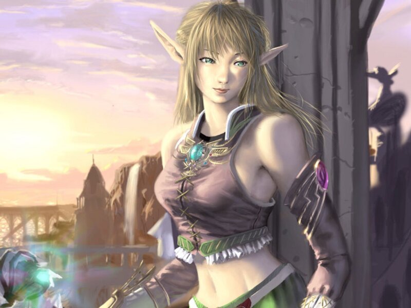 elf warrior in sunset