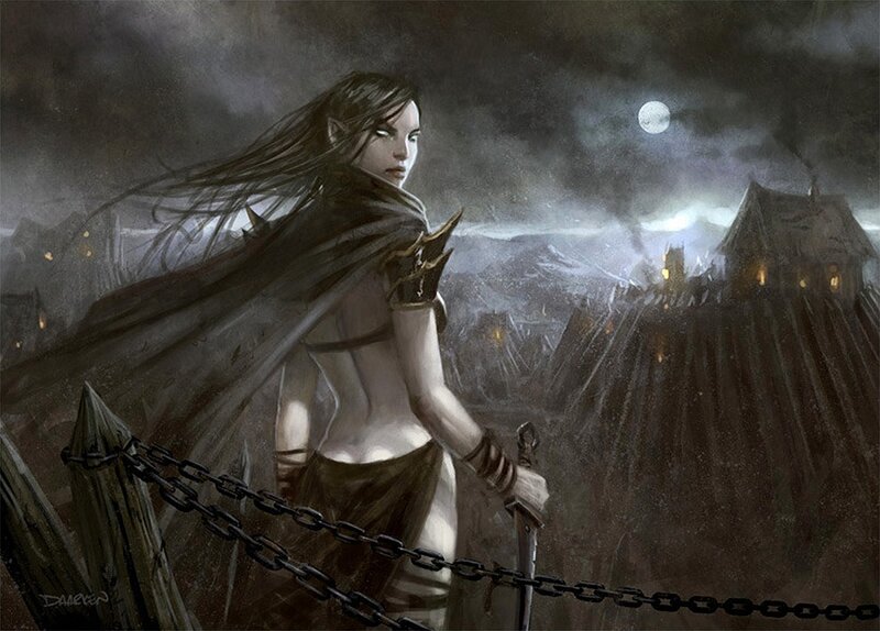 elf warrior on a bridge