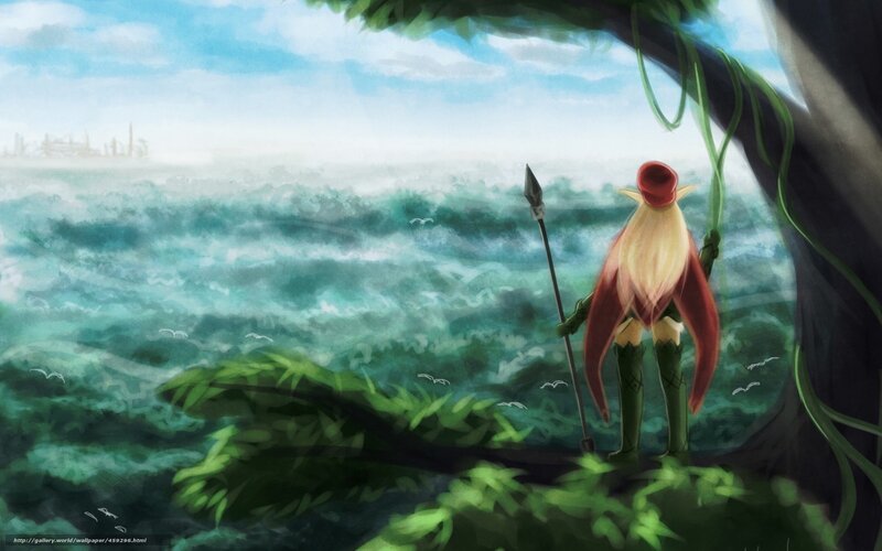elf warrior on a cliff