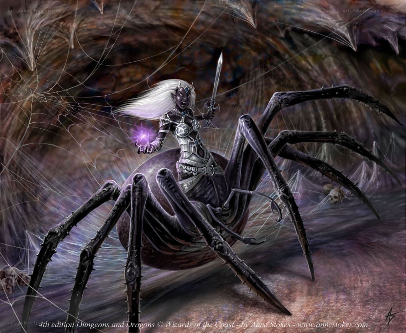 elf warrior on a giant spider