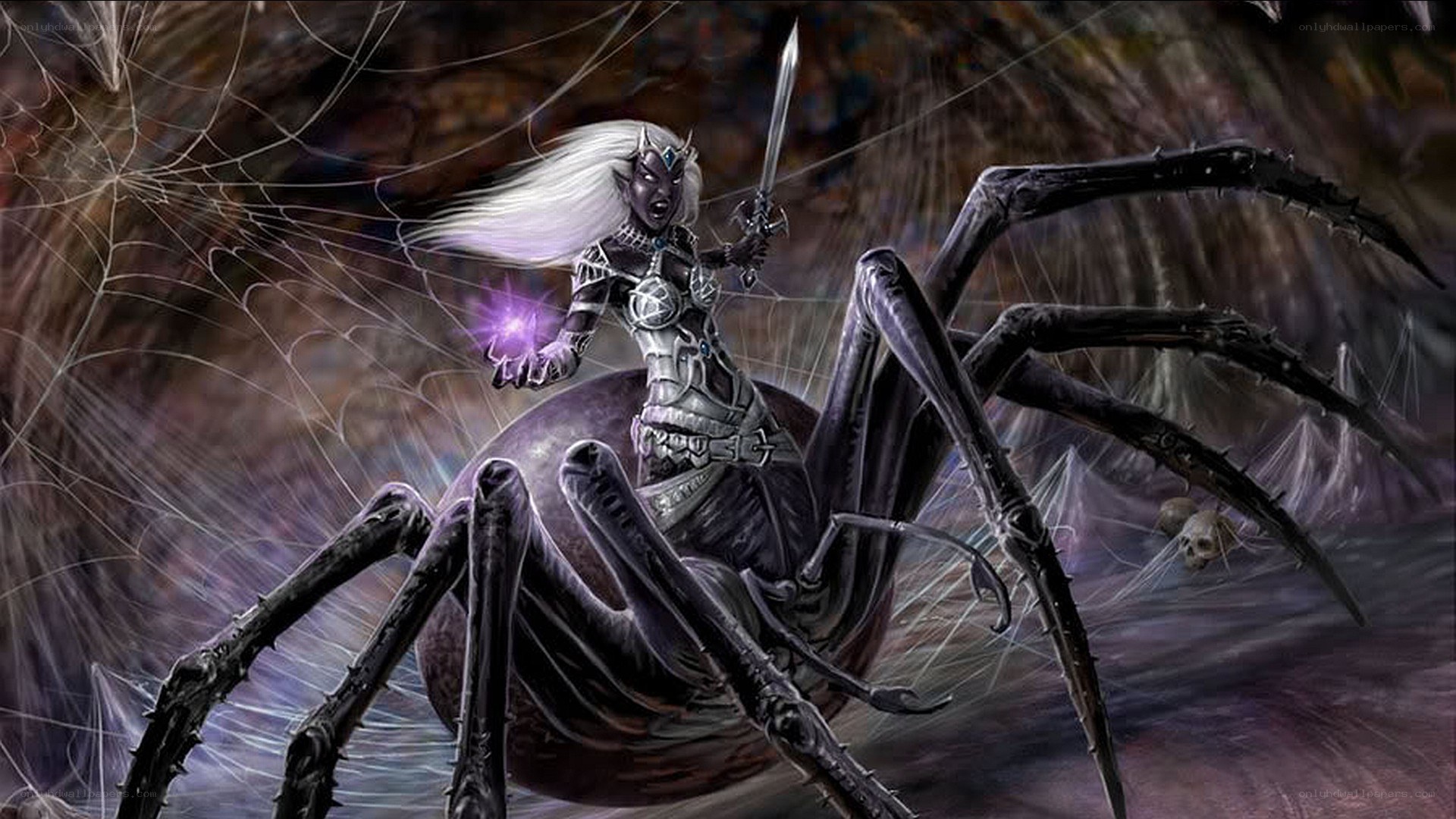 elf warrior on a giant spider
