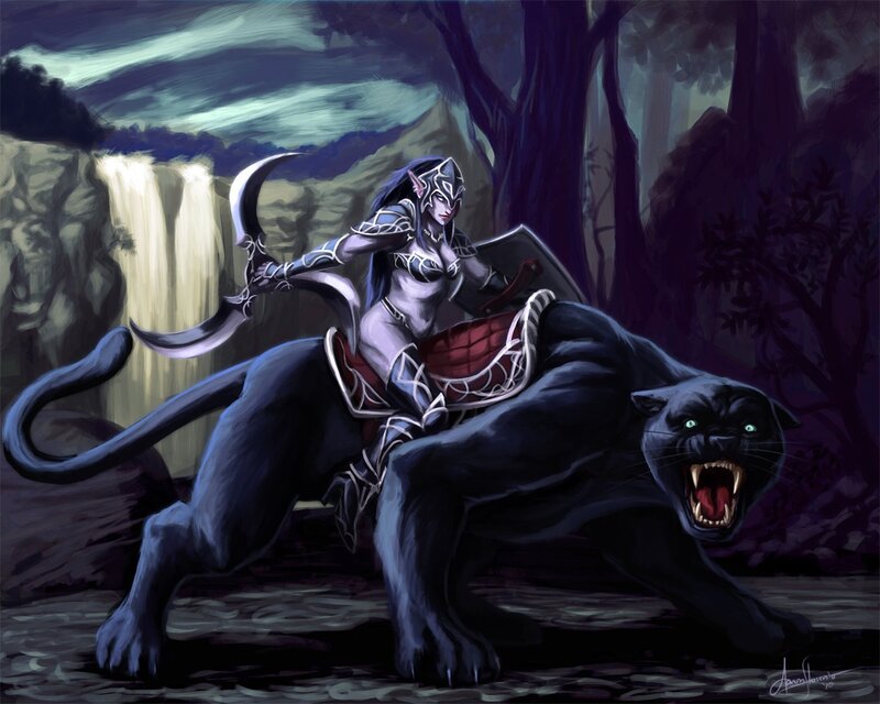 elf warrior on black panther